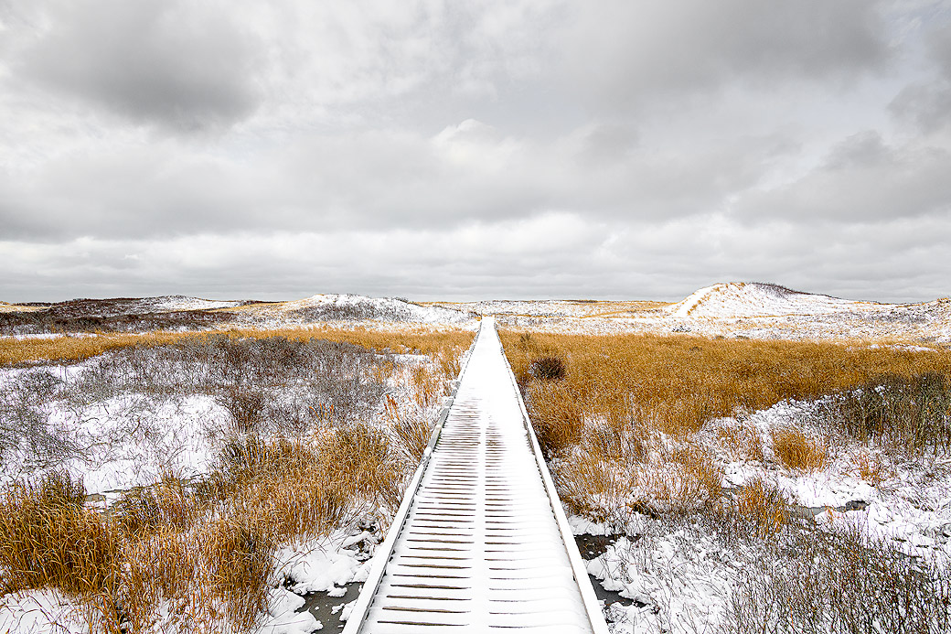 Philbin Beach Boardwalk 2022