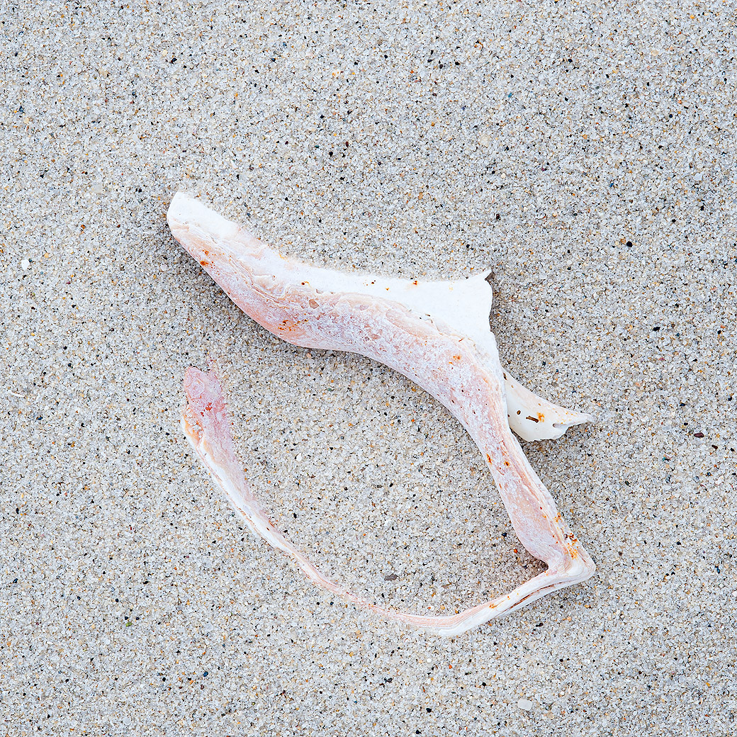 Beach II 2013
