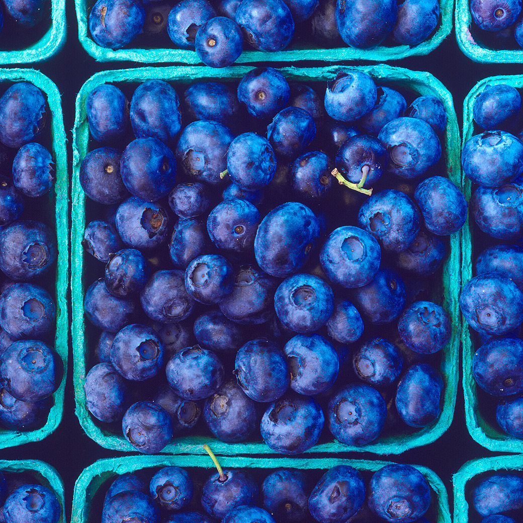 Blueberries 2007