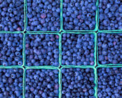 Blueberries, Farmers' Market 1998