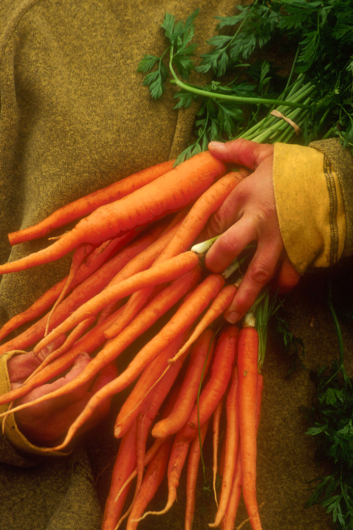 Carrots, Farmers' Market 2003
