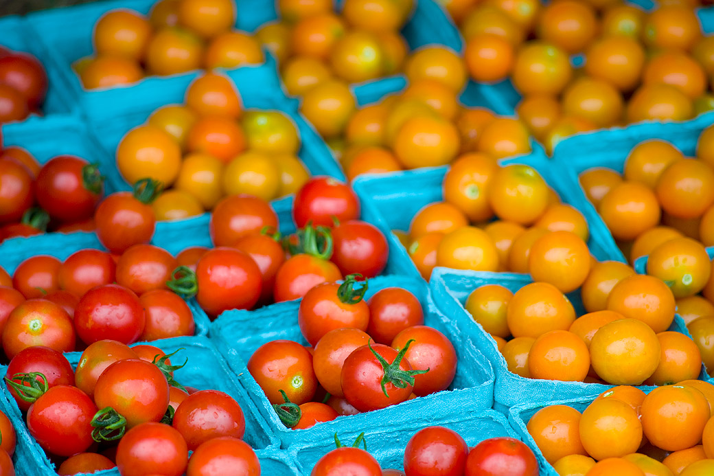 Cherry Tomatoes, Morning Glory Farm 2008