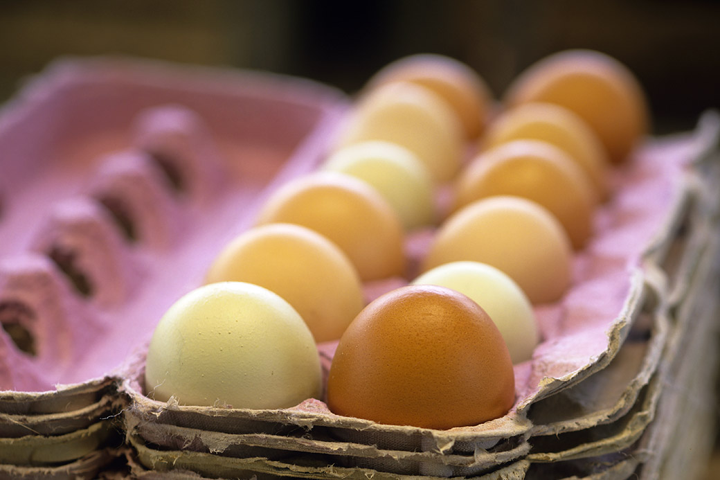 Eggs, Blackwater Farm 1999