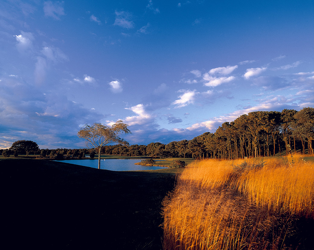 The Sixteenth, Farm Neck 1998