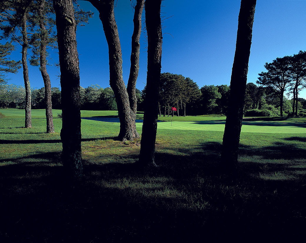 The Seventh, Farm Neck 1998