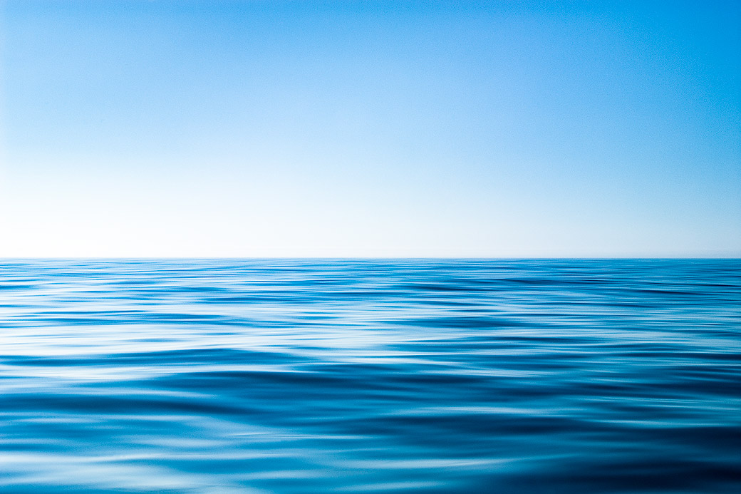 Muscongus Bay 2008 Alison Shaw Photography