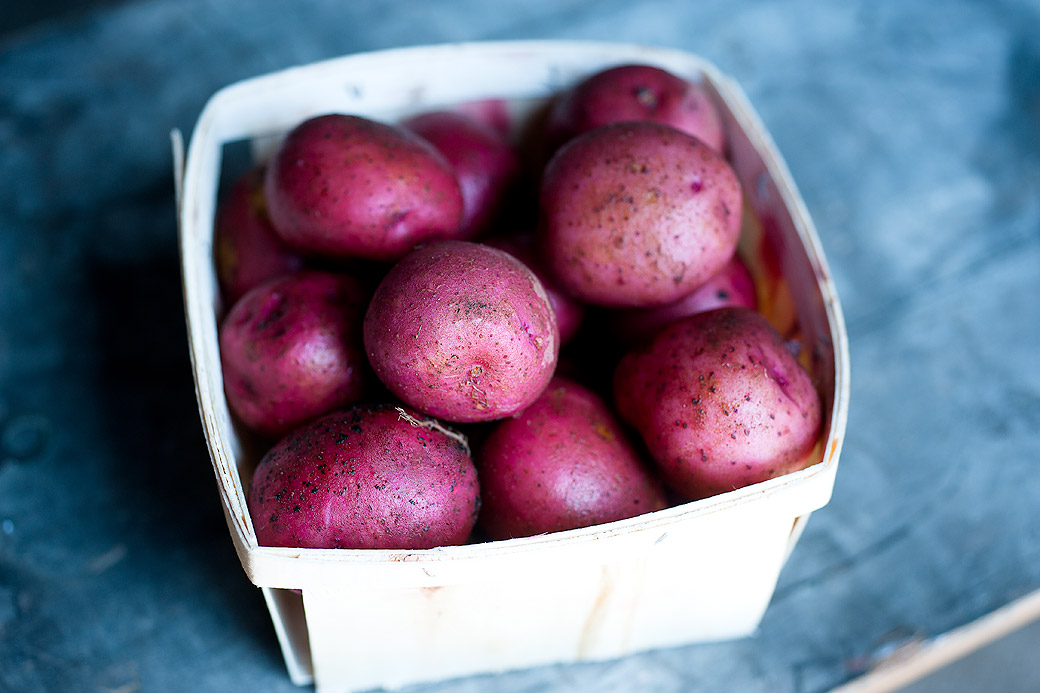 Potatoes, Morning Glory Farm 2013