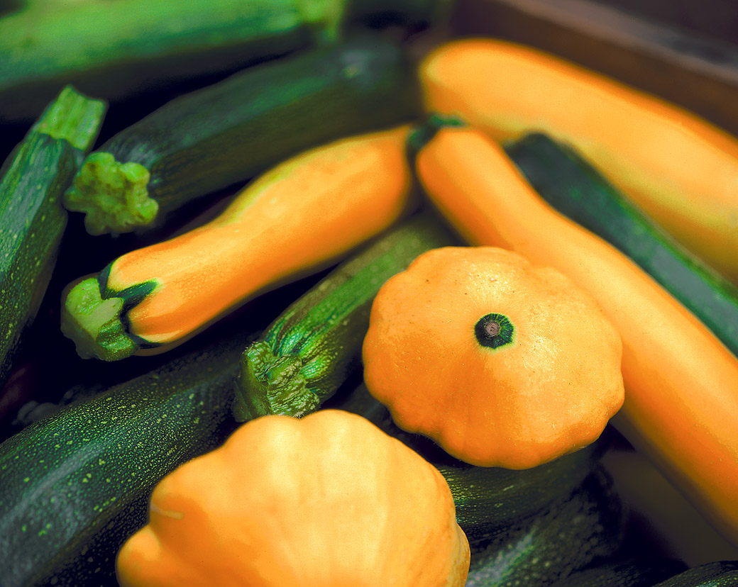 Summer Squash 1999
