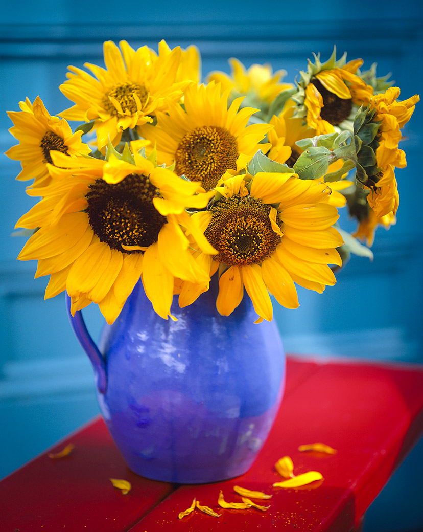 Sunflowers, Farm Pond House II 2000