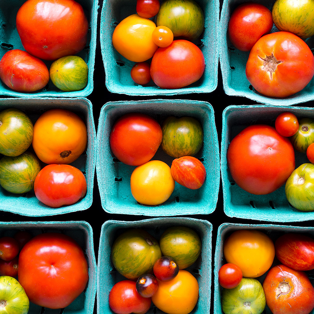 Tomatoes, North Tabor Farm 2021