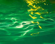 Yellow Reflection, Green Water 2009