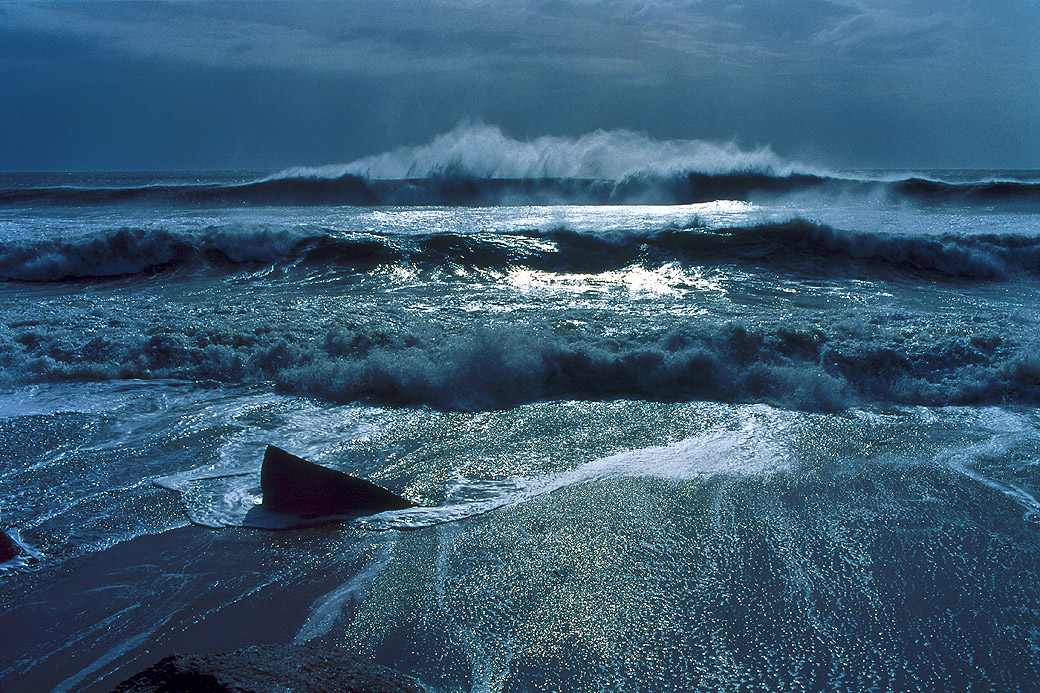 Lucy Vincent Beach 1991
