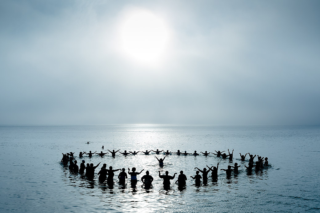 Polar Bears, Inkwell Beach 2015