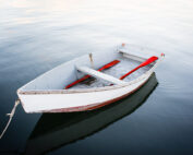 Red Oars 2017