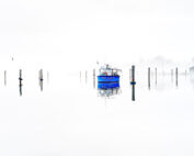 "Payback" Edgartown Harbor 2023
