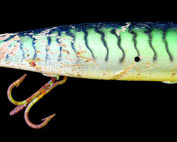Stan Gibbs Trolling Lure 2024