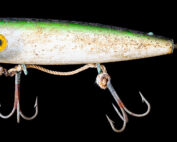West Coast Darting Salmon Lure 2024