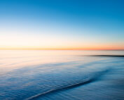 Oak Bluffs Waterfront 2021