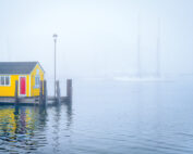Tisbury Wharf 2022