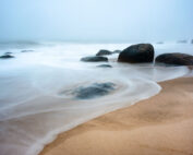 Lucy Vincent Beach II 2011